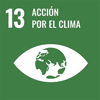 13-accion-por-el-clima-3